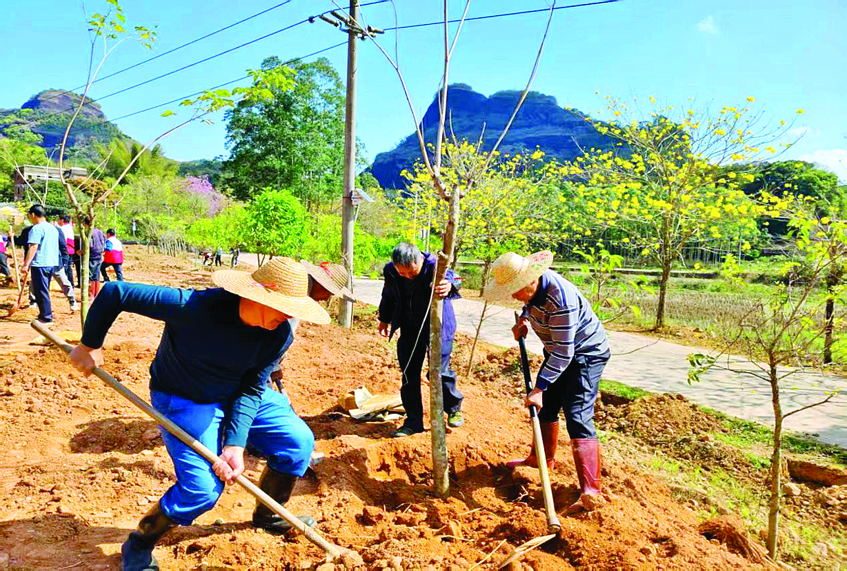     观音阁镇开展义务植树活动。