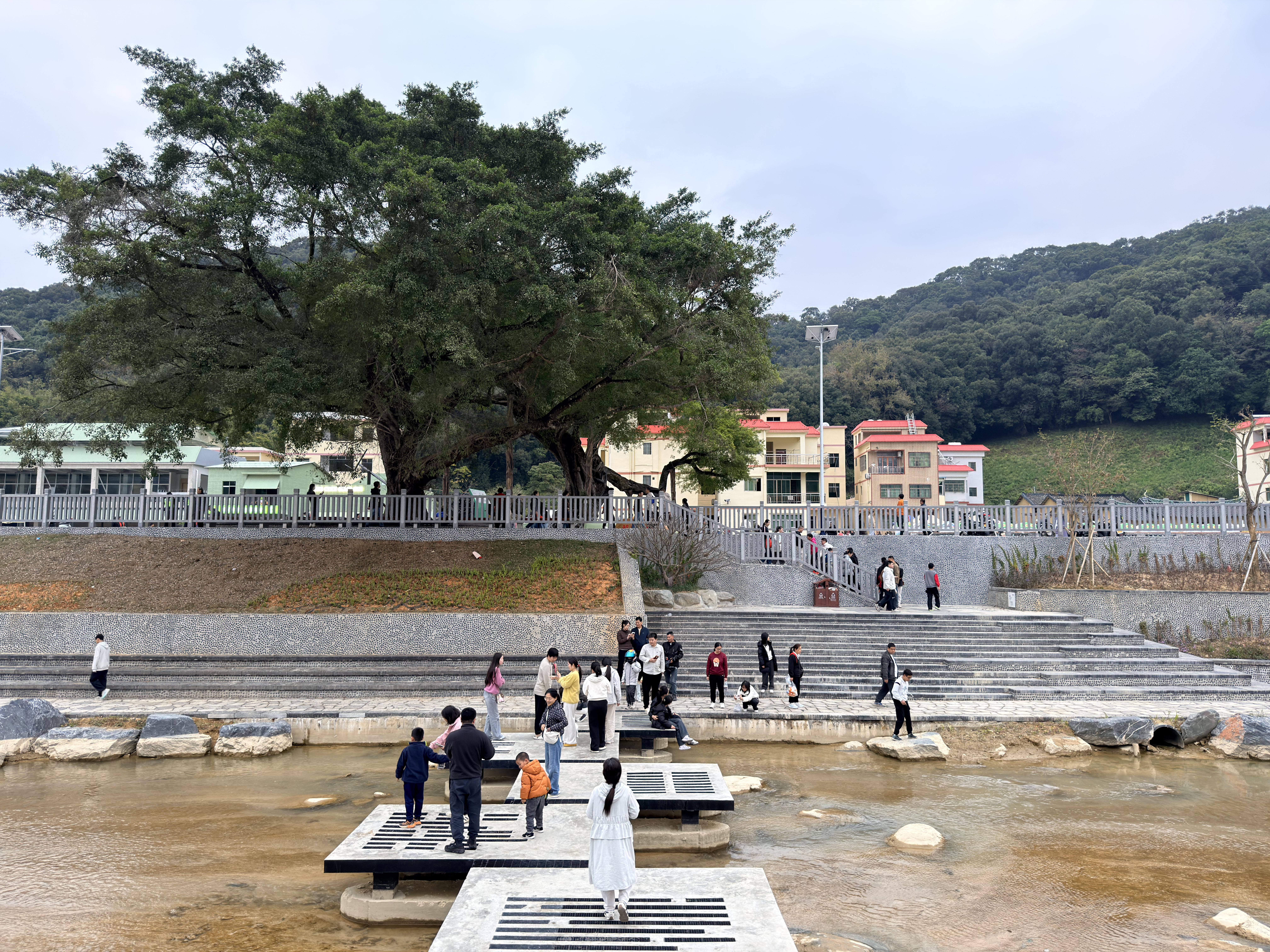 <p>    千年古榕驿站。</p>