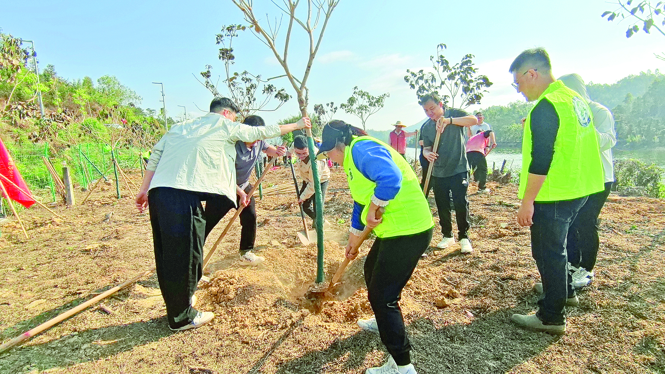     干部职工代表热火朝天地种树。惠州日报记者邱舒婷 摄