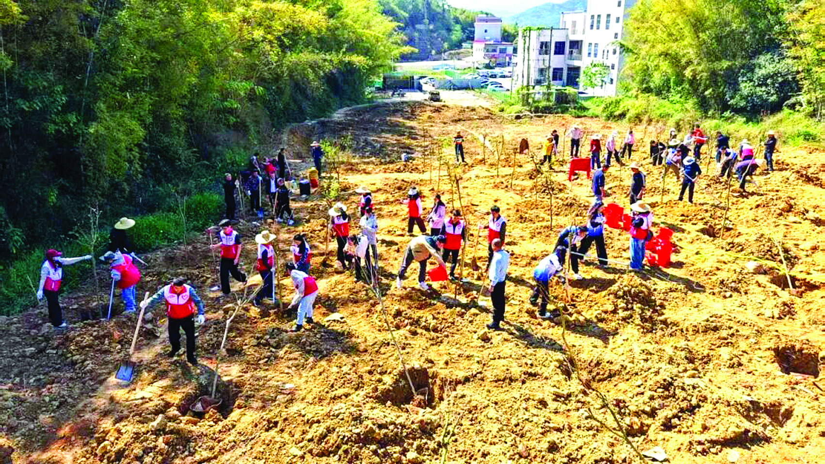     麻榨镇种植点，大家携手添绿。惠州日报记者黄宇翔 通讯员龙组宣 摄