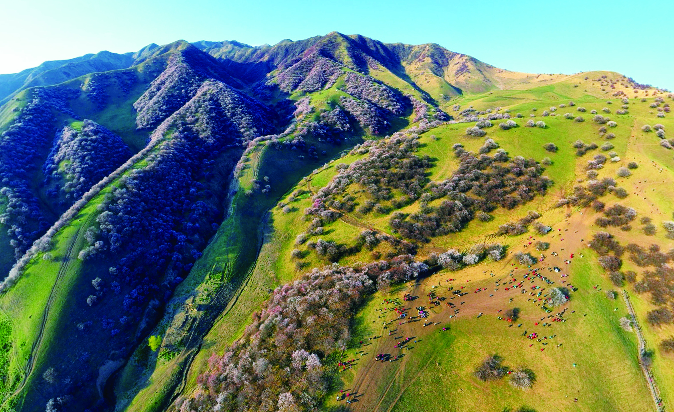     吐尔根杏花沟。