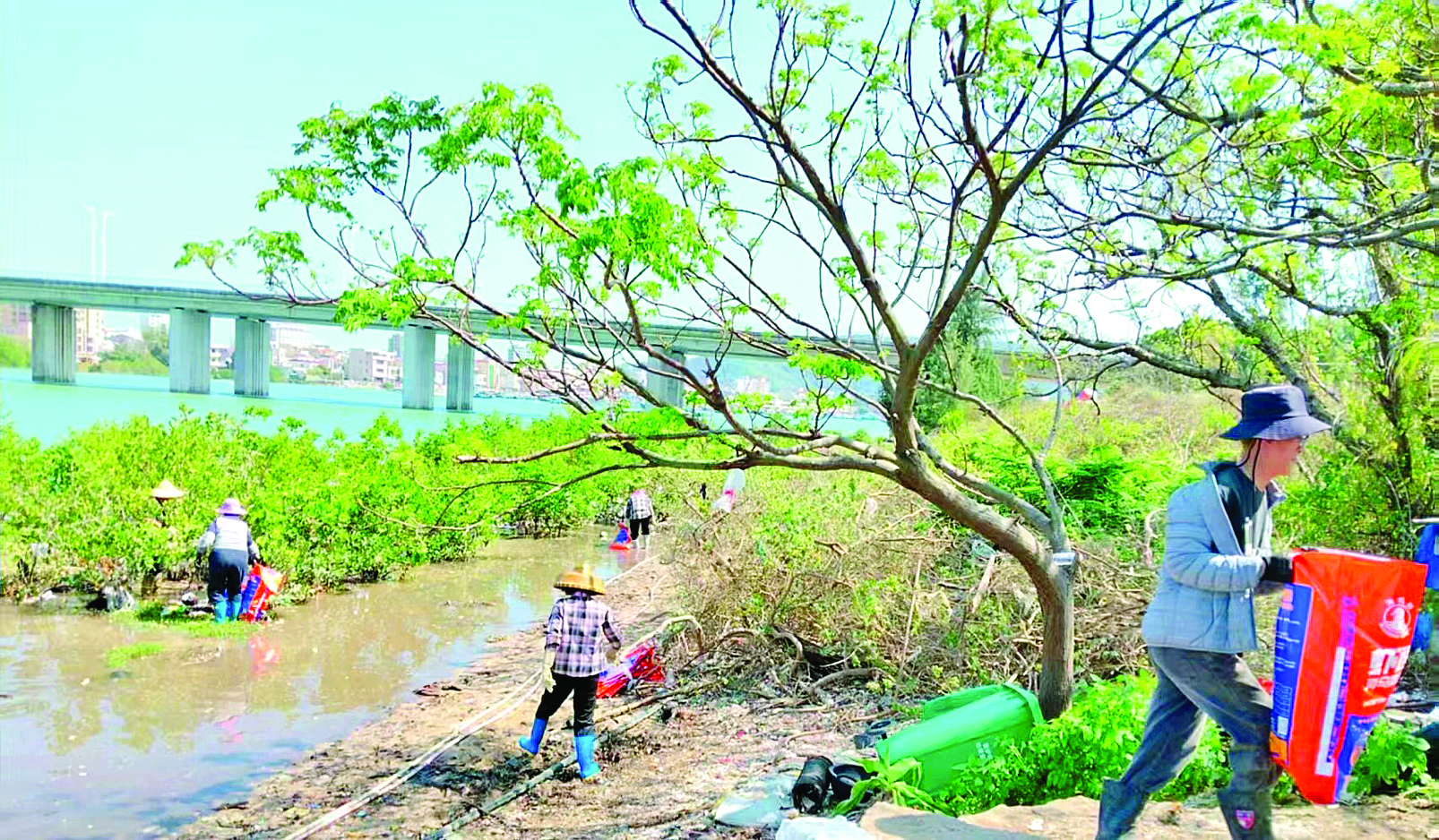     专项小组工作人员在清理海岸线垃圾。 惠州日报记者蔡伟健 通讯员蔡志强 摄