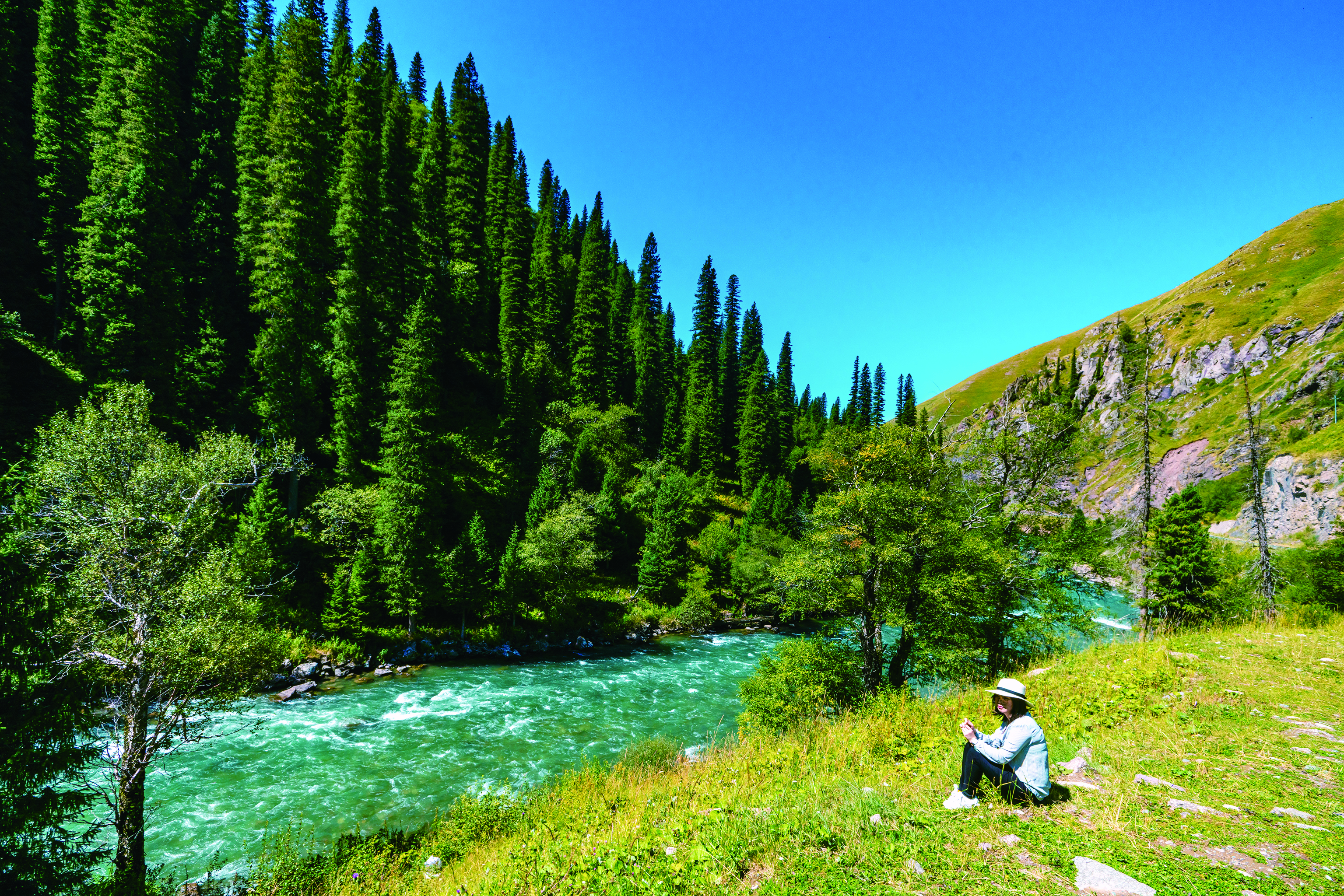     那拉提空中草原。