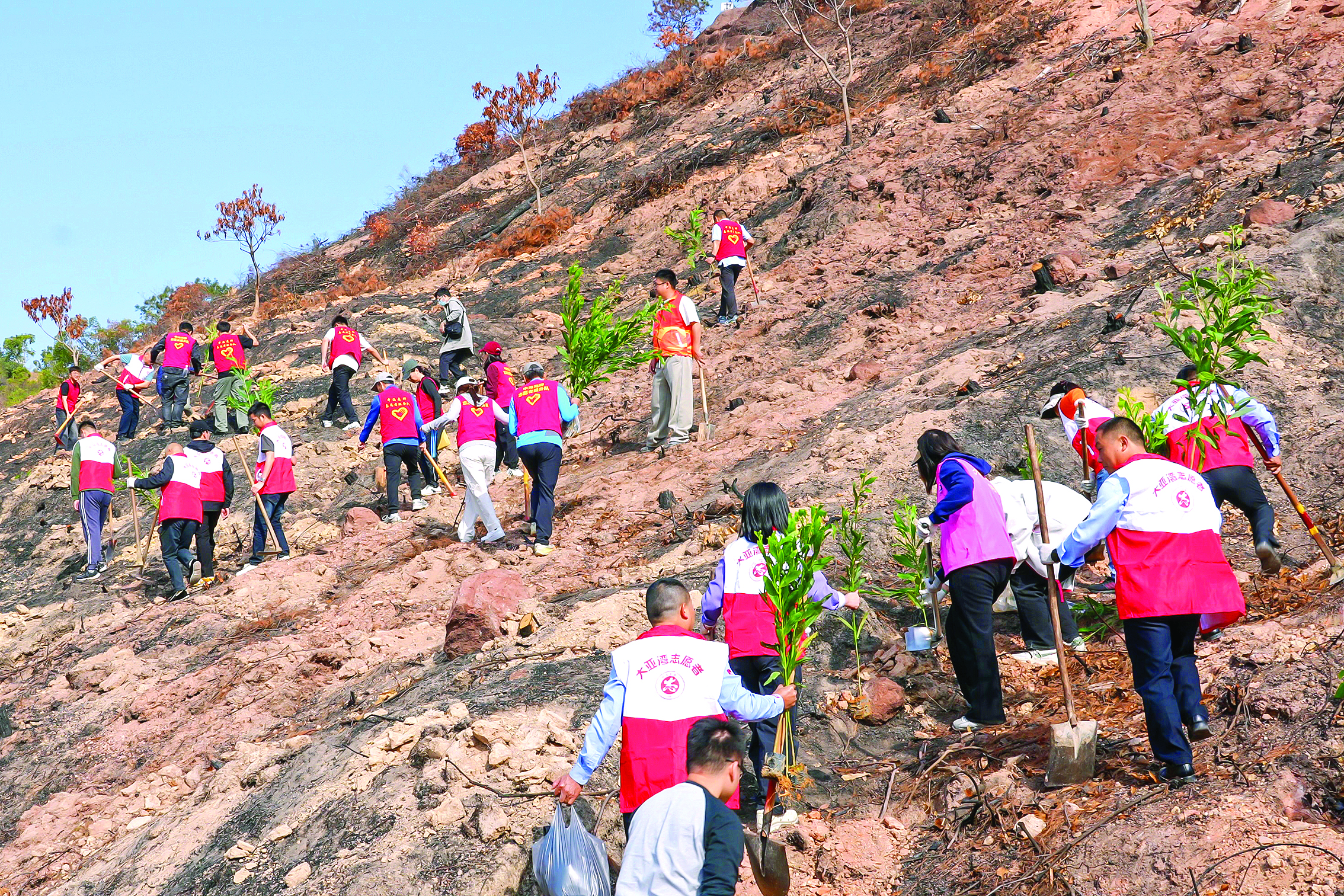     大亚湾社会各界参与义务植树活动。