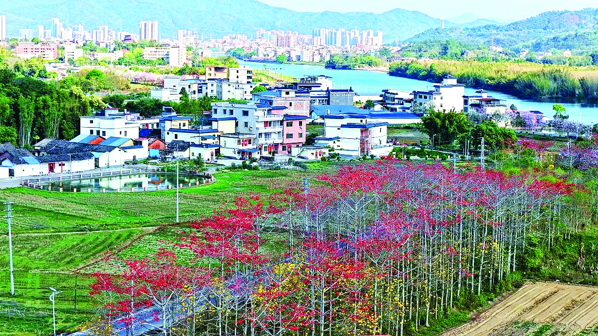     龙城街道城西村打造“景产融合”立体绿化体系。惠州日报记者黄宇翔 通讯员龙融心 摄