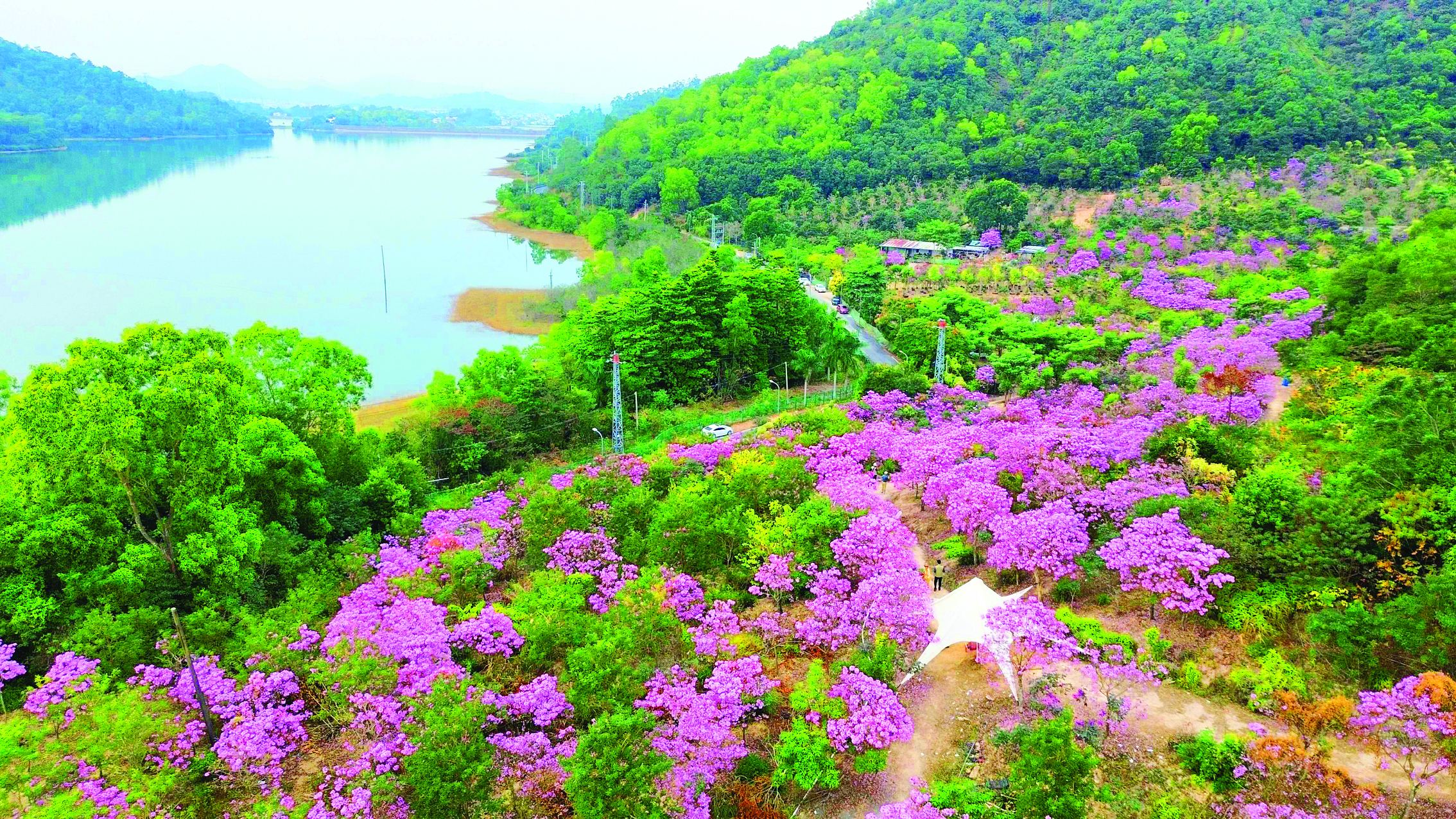     “凤栖良田·山水美景”美丽乡村走廊永湖镇黄洞水库段。    惠州日报记者许文昌 摄