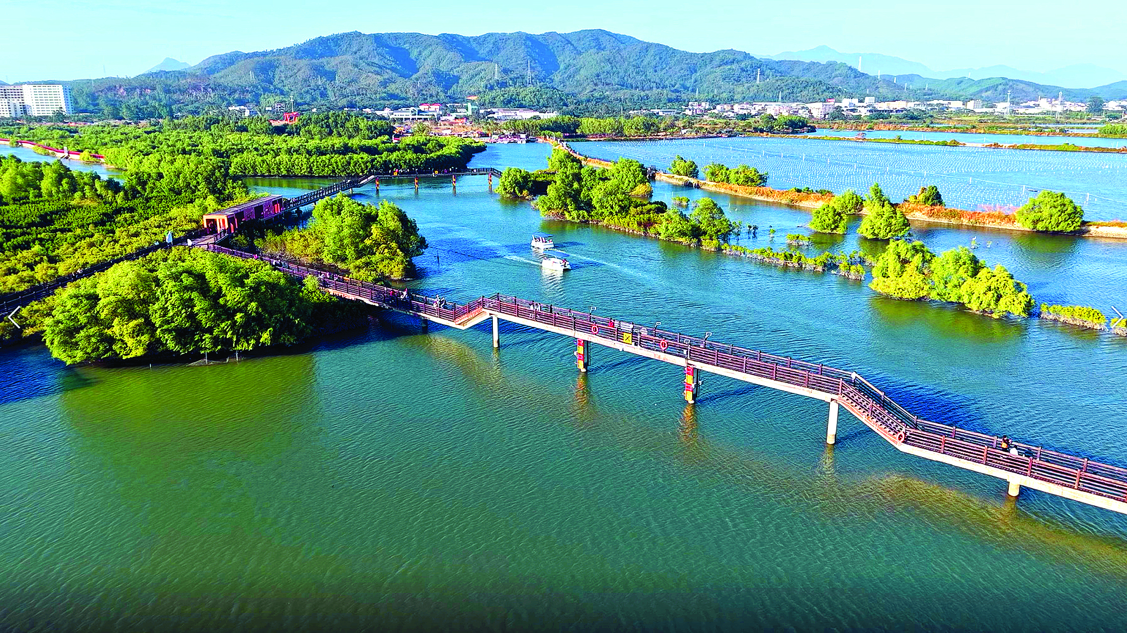     惠东县铁涌镇好招楼湿地公园风景优美。