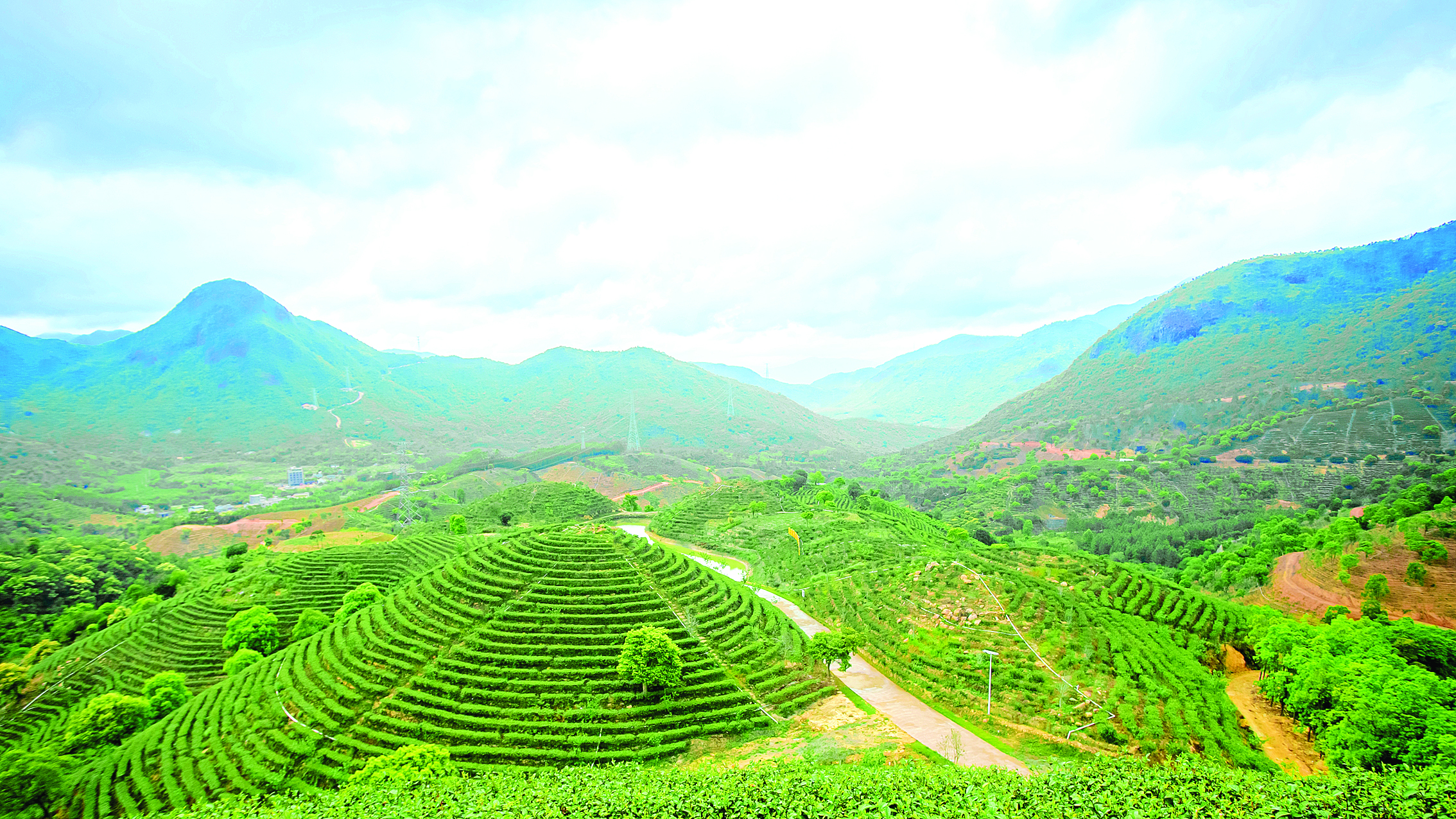     位于九龙峰旅游区的南山生态谷景色怡人。本组图片由受访者提供