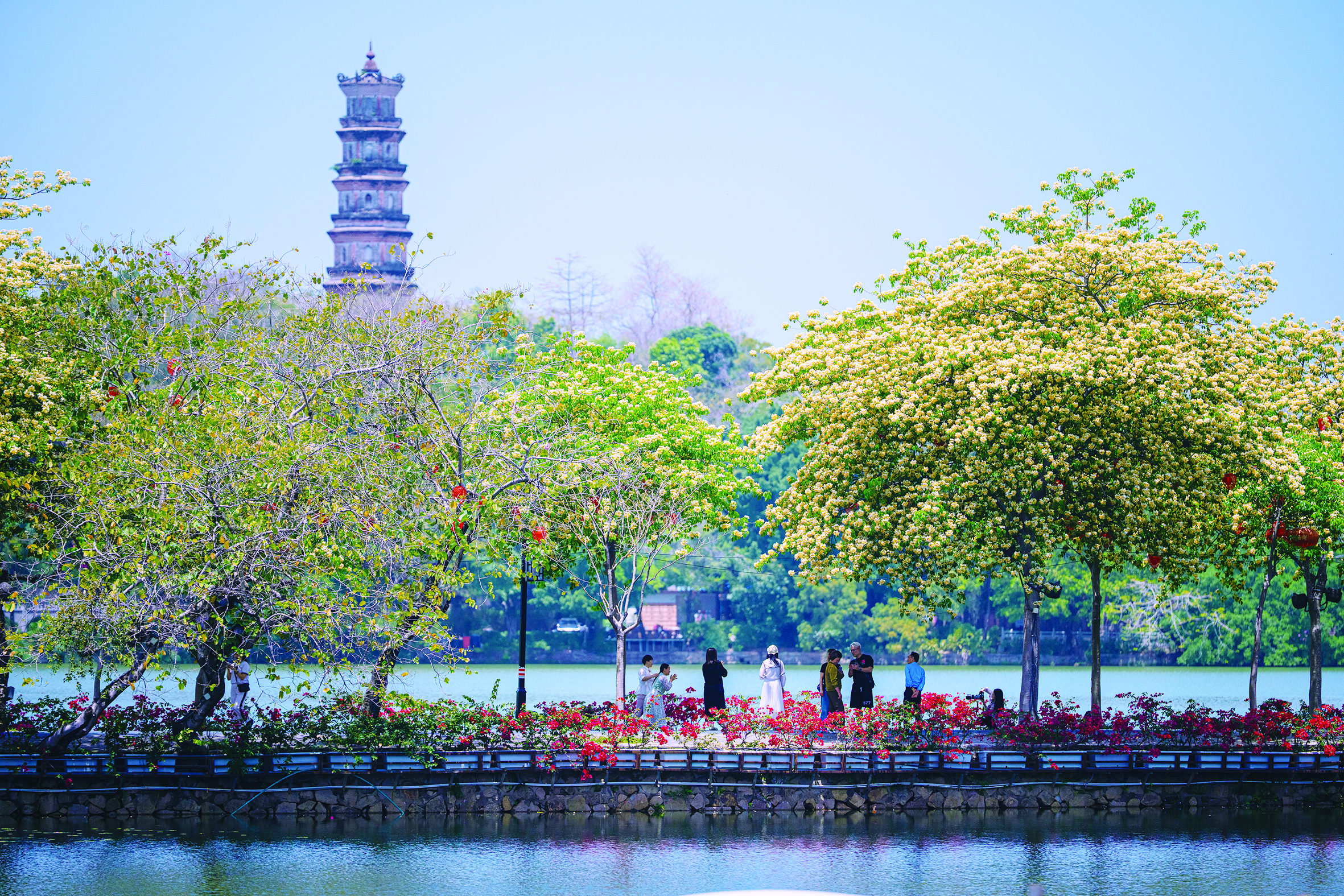     清明是踏春寻春的好时节。本版图片 惠州日报记者周楠 摄
