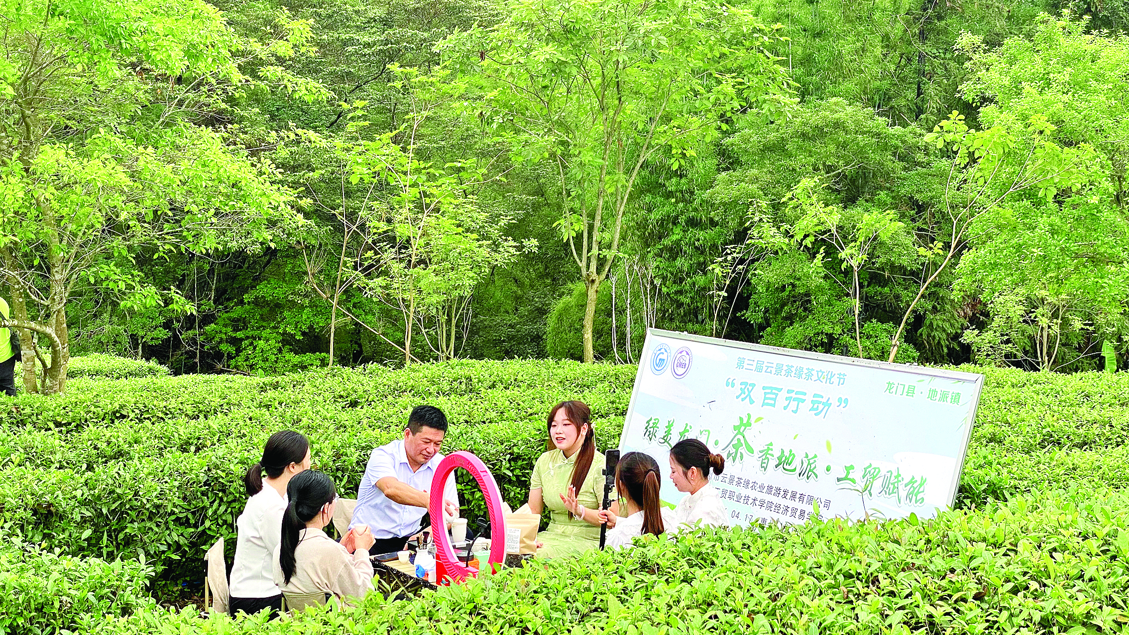     茶山直播拓销路。
