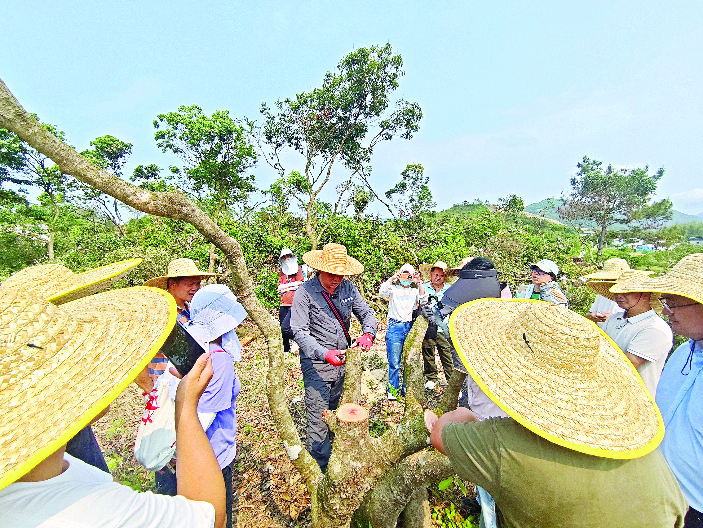     专家与种植户现场交流。