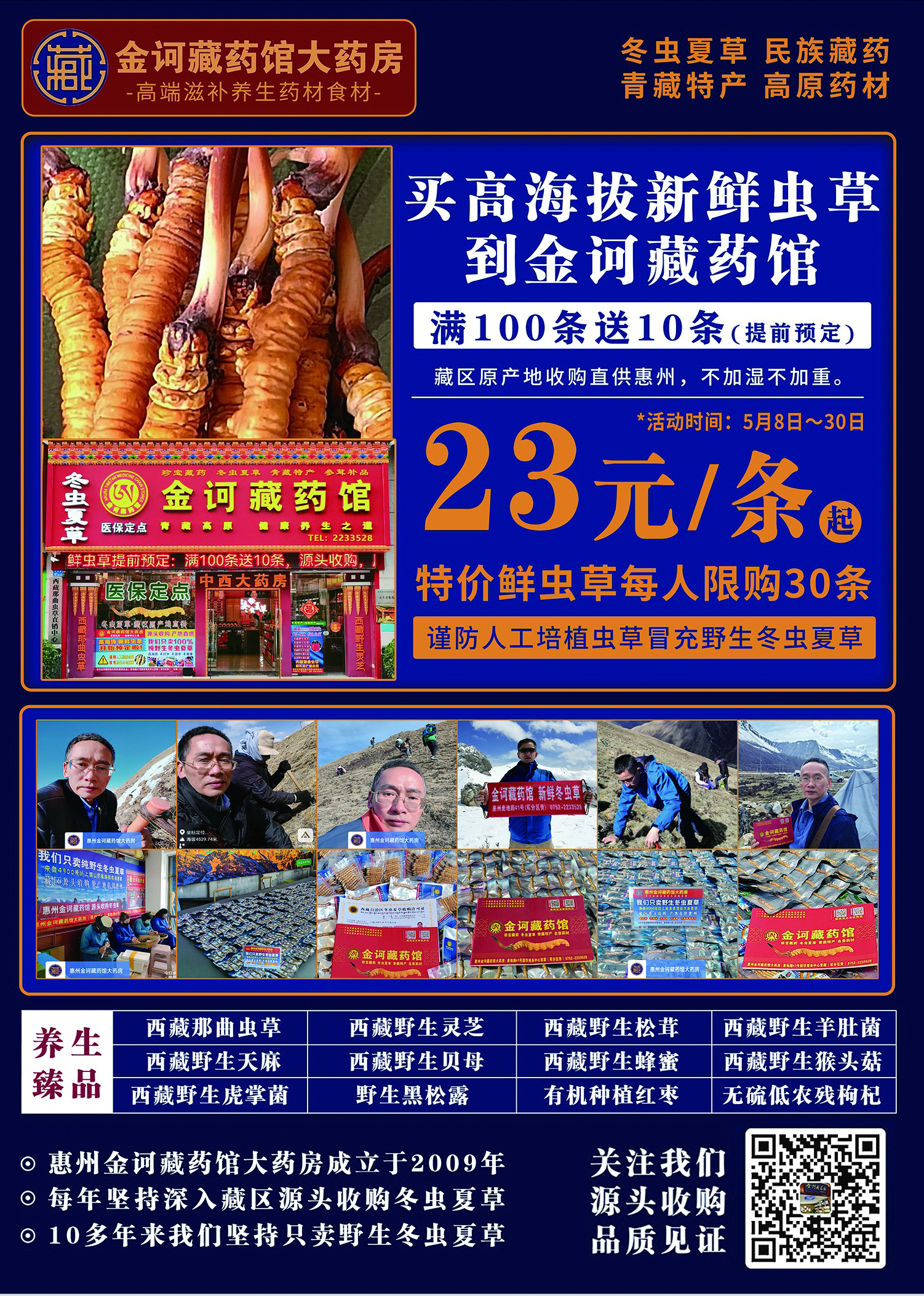     特价新鲜虫草23元/条起。