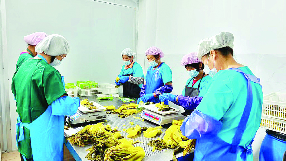 <p>    洪湖微深酸菜厂让群众实现家门口就业。</p>