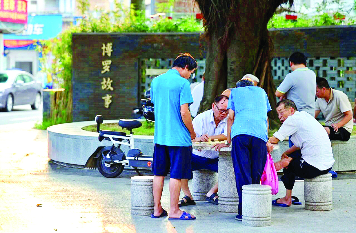    老人在古榕树下下棋。
