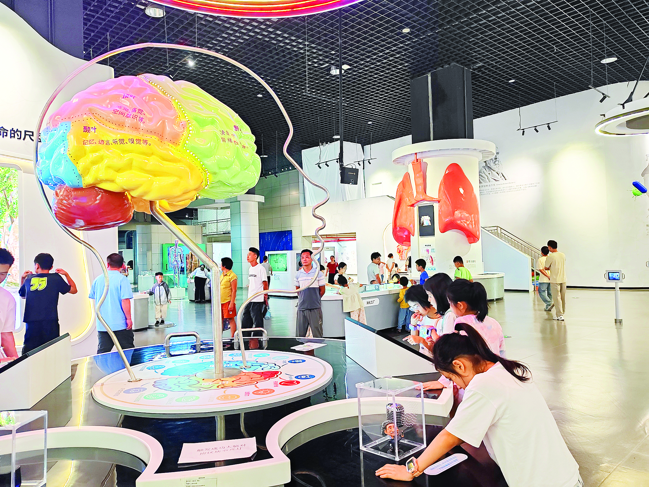 <p>    孩子们在市科技馆生命健康体验馆里探索。</p>