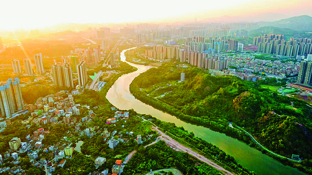 <p>    淡澳河碧道。</p>