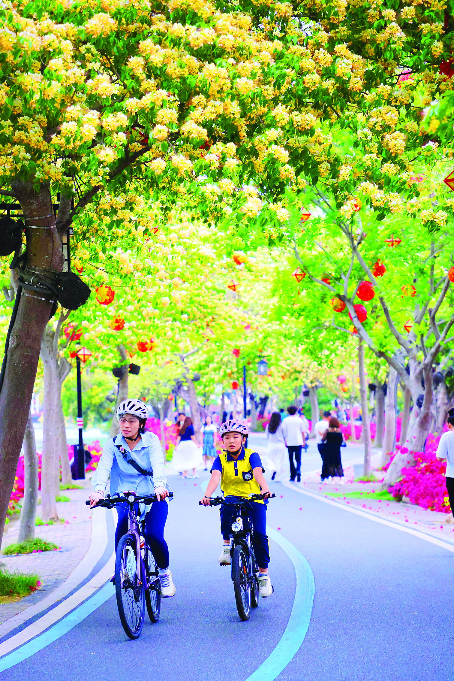 <p>    市民悠闲骑行。</p>