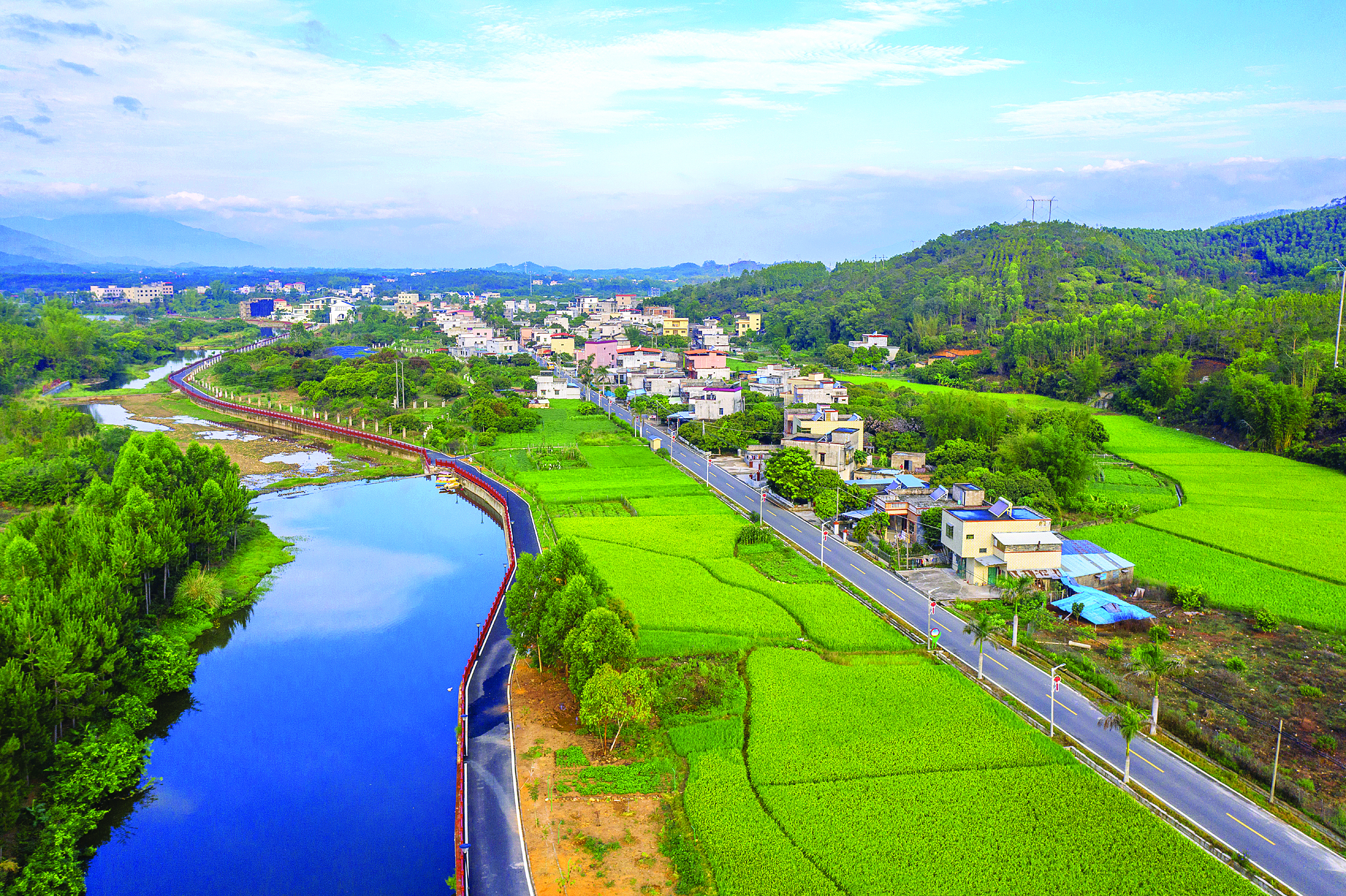 <p>    白马河碧道。</p>