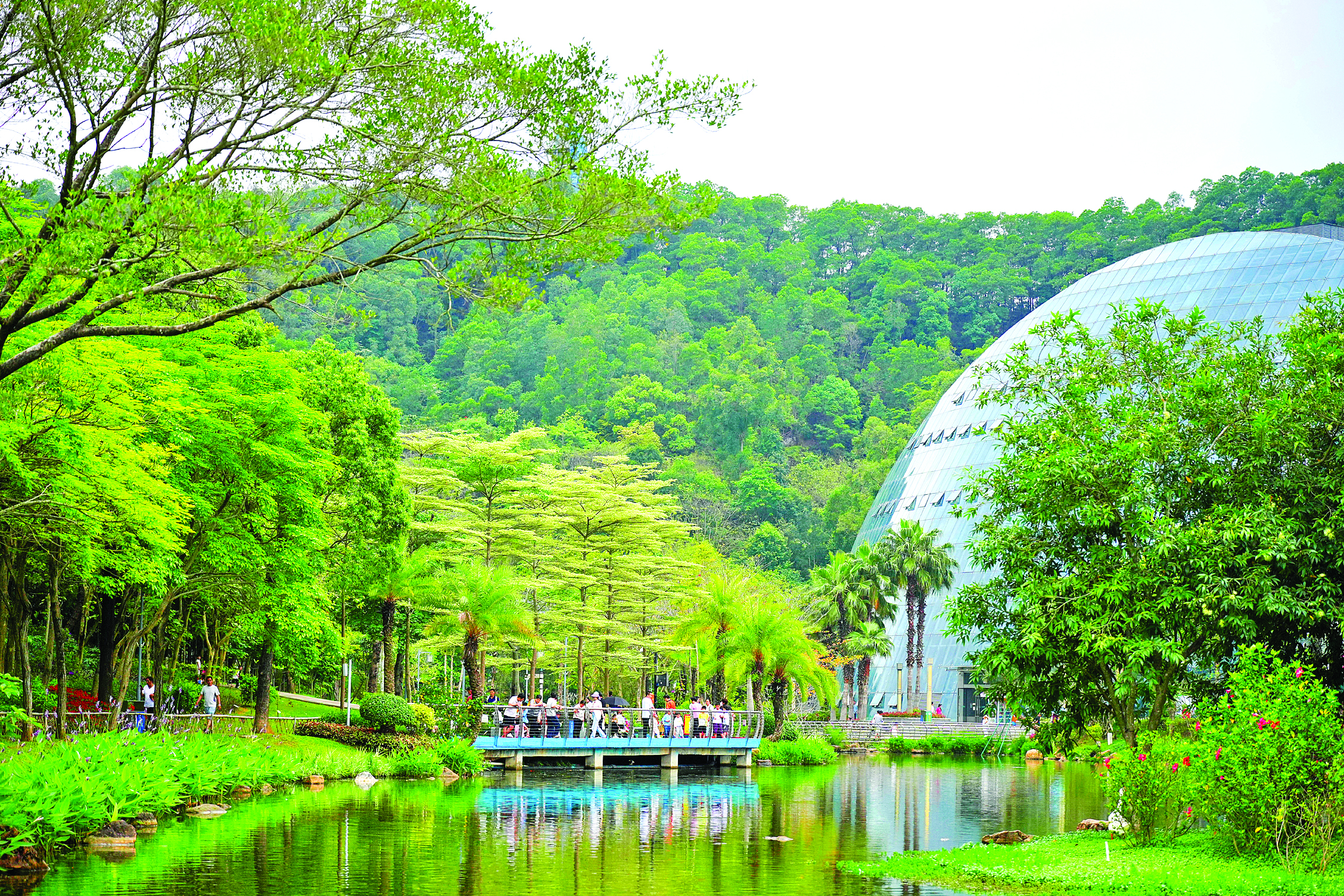     惠州市植物园满目苍翠。惠州日报记者周楠 摄