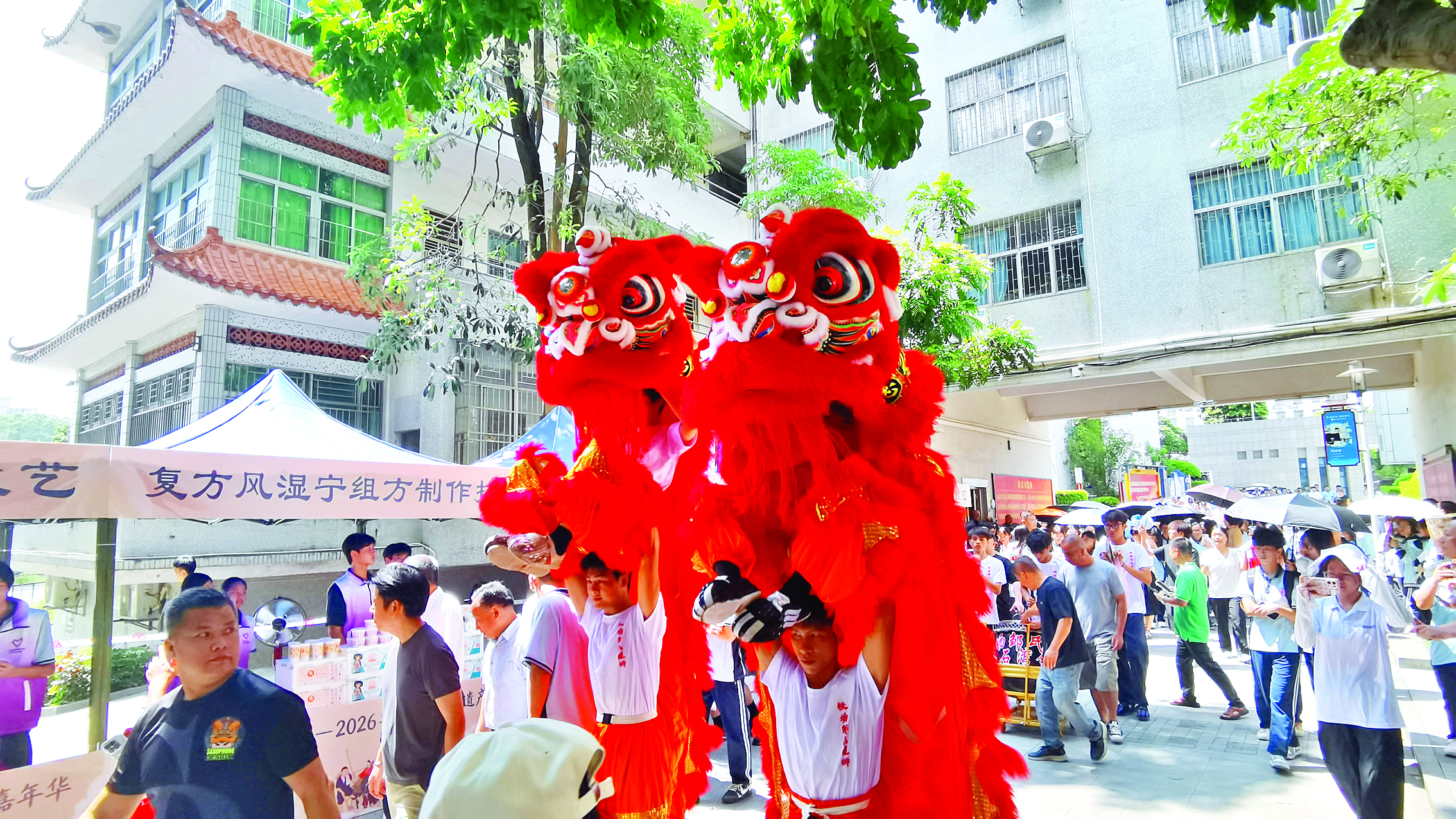     醒狮表演。