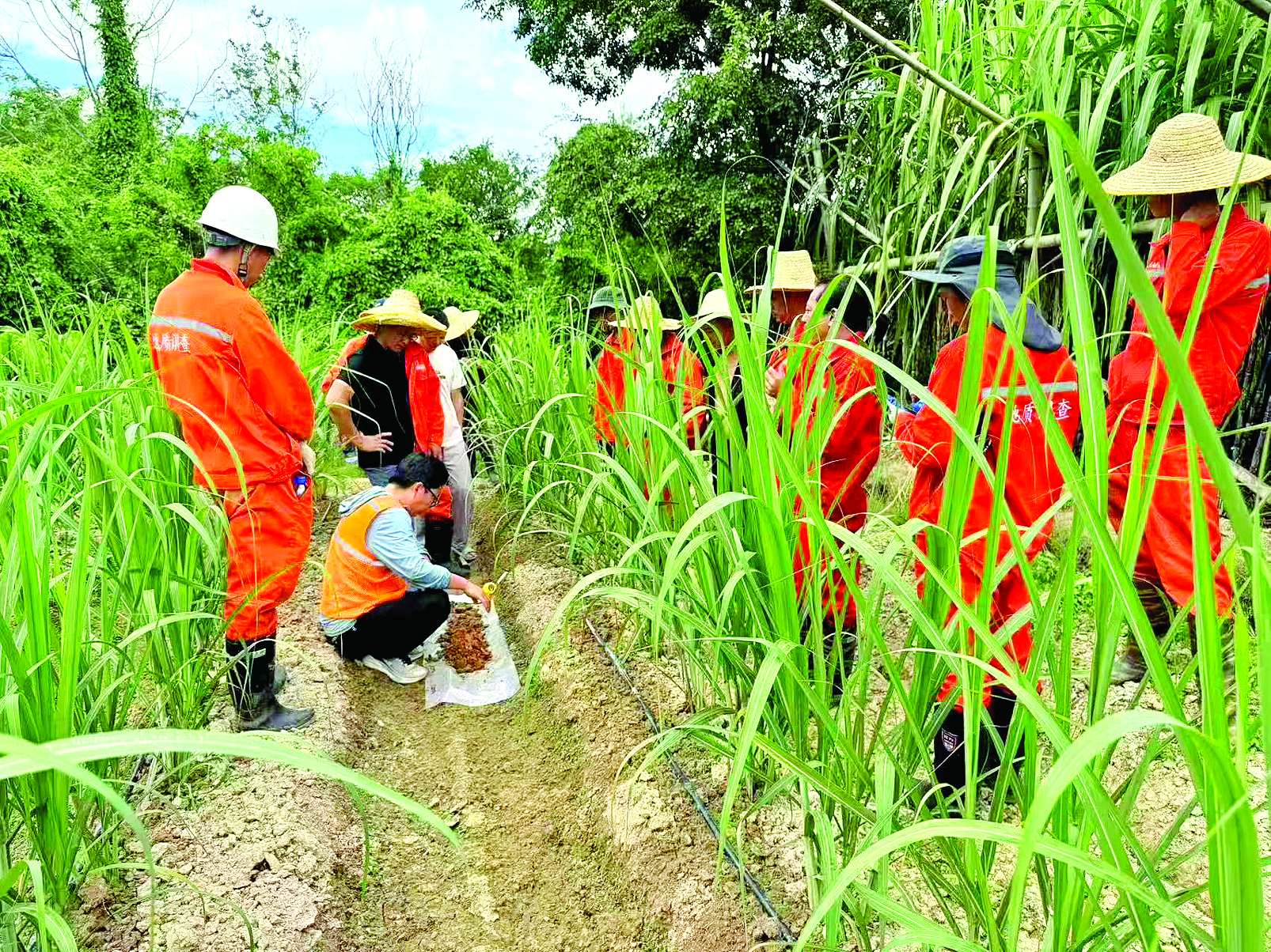     广东省地质局惠州地质调查中心技术人员在进行土壤采样。