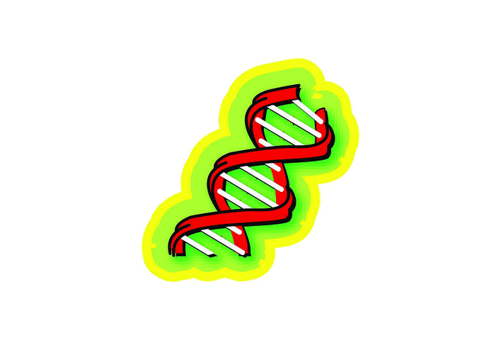     染色体是储藏着每一个生物体遗传信息的“硬盘”。